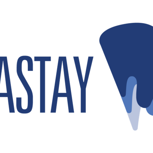 Plastay