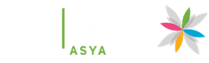 Viaport AVM